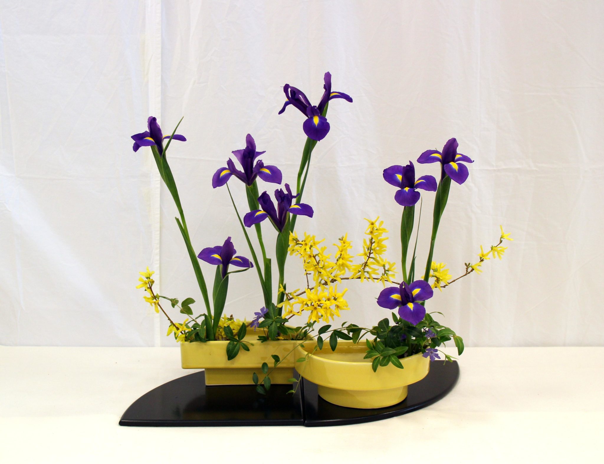 Schools - Ikebana International